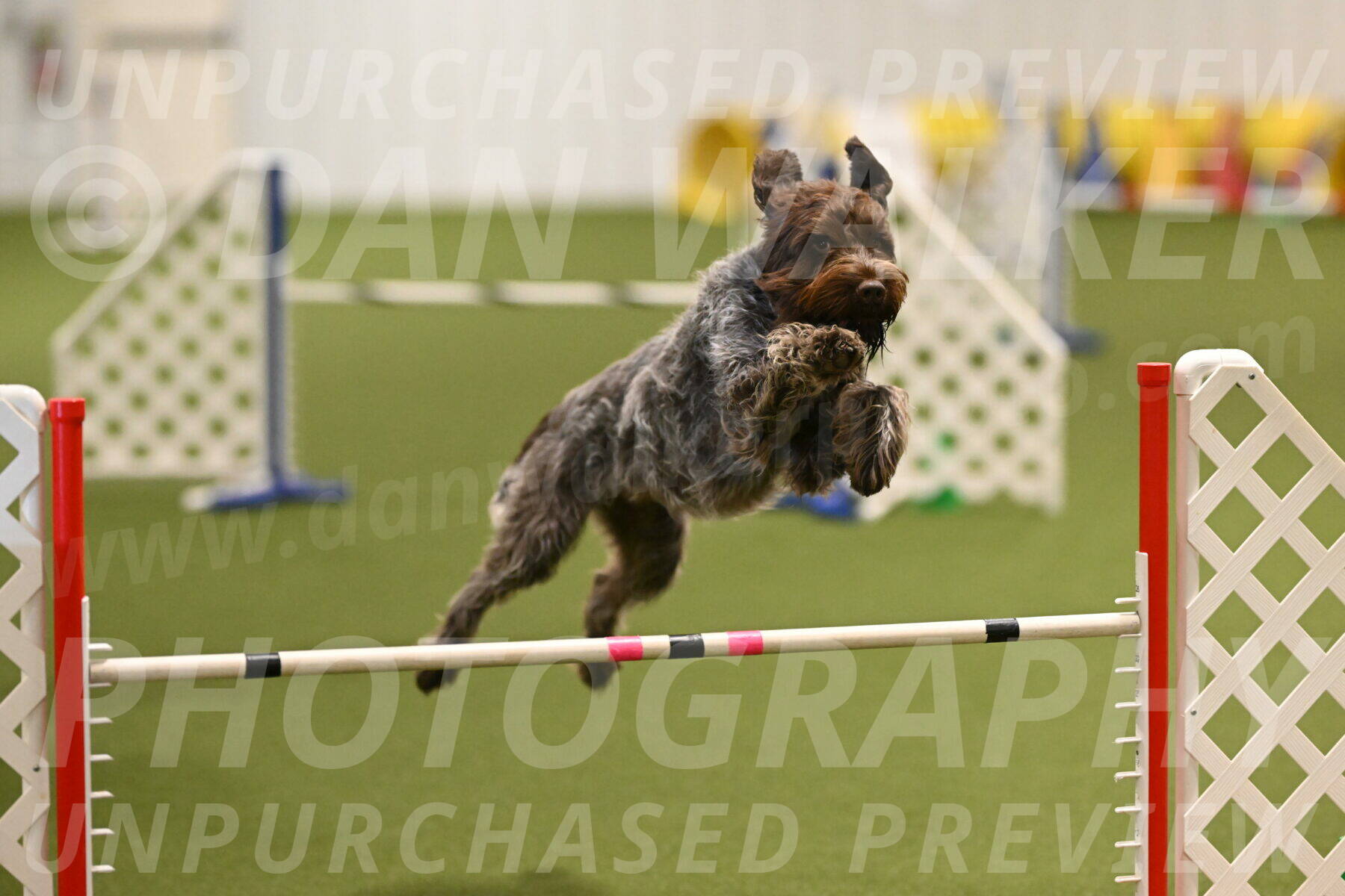 Drake-Janice-Lipscomb-04370