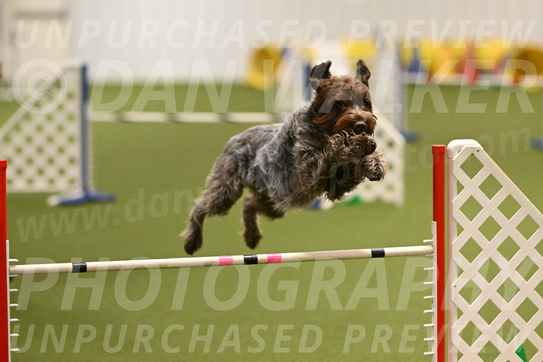 Drake-Janice-Lipscomb-04371