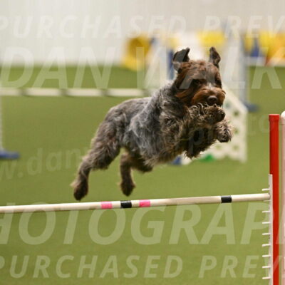 Drake-Janice-Lipscomb-04371