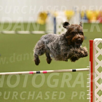 Drake-Janice-Lipscomb-04372