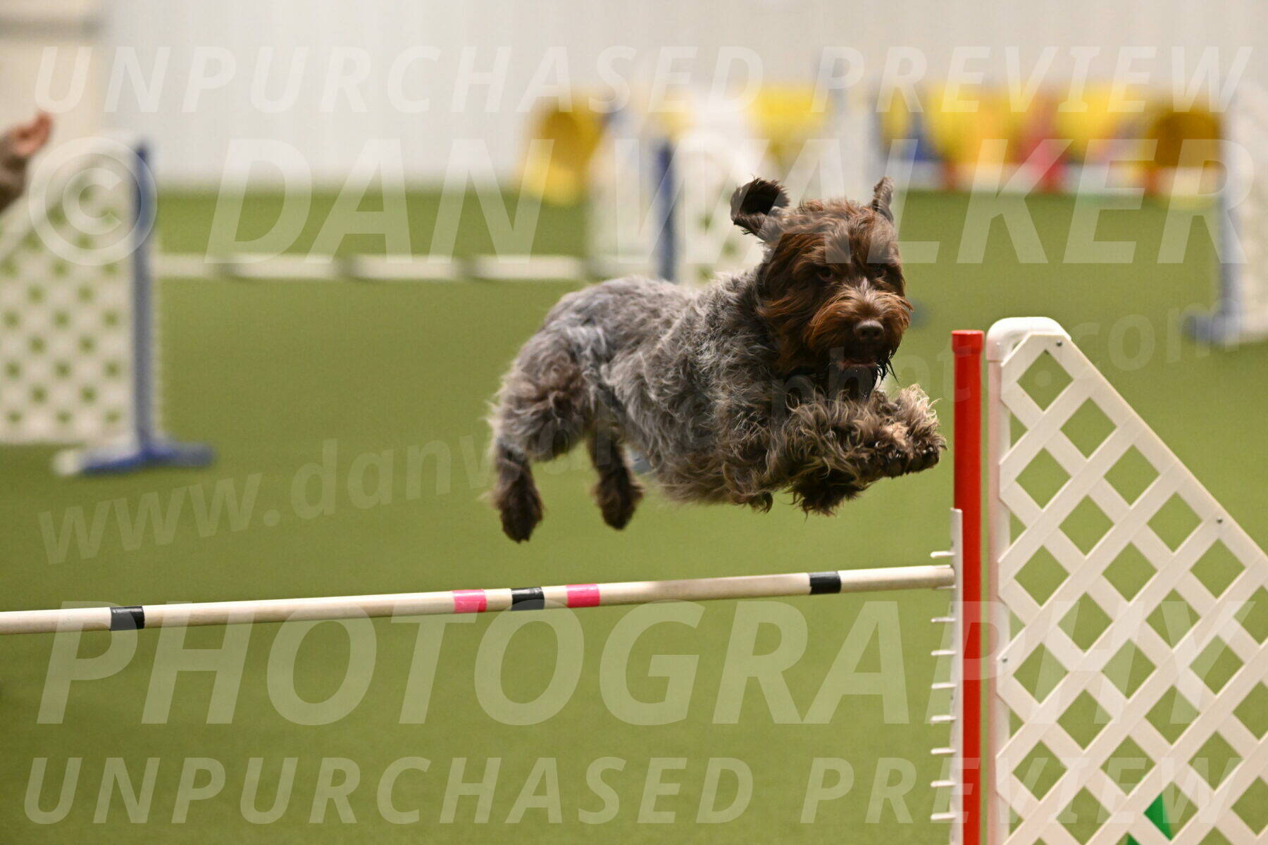 Drake-Janice-Lipscomb-04372