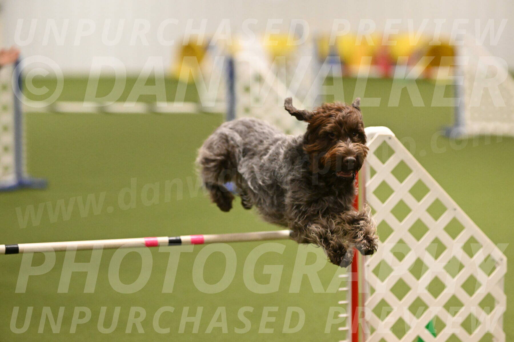 Drake-Janice-Lipscomb-04373