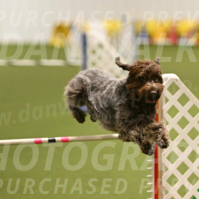 Drake-Janice-Lipscomb-04373