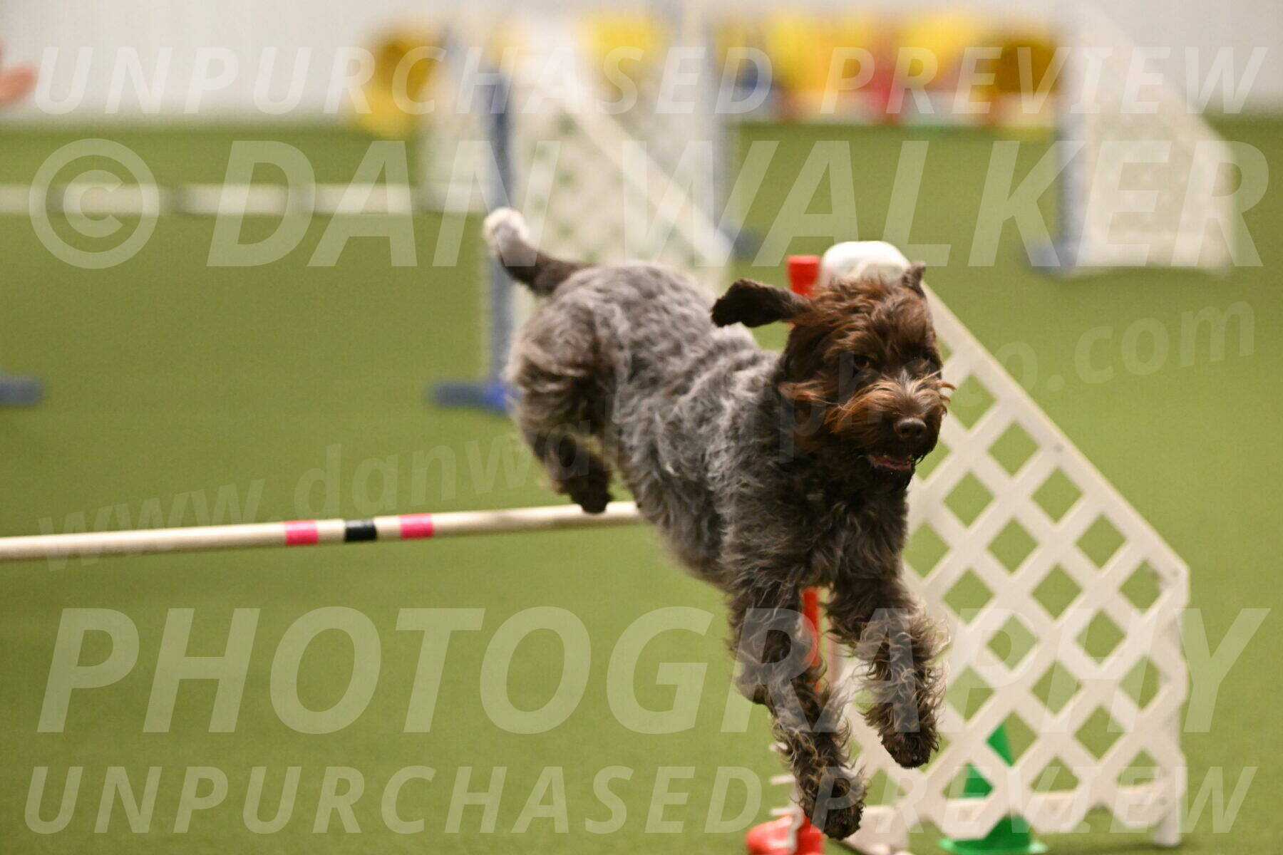 Drake-Janice-Lipscomb-04374