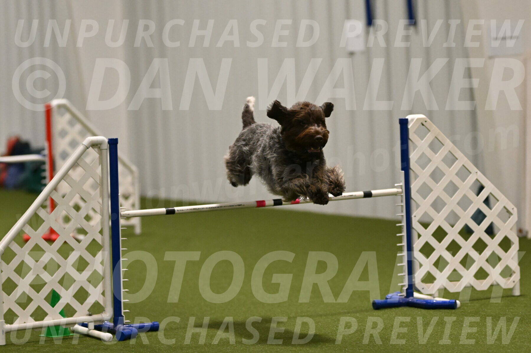 Drake-Janice-Lipscomb-04375