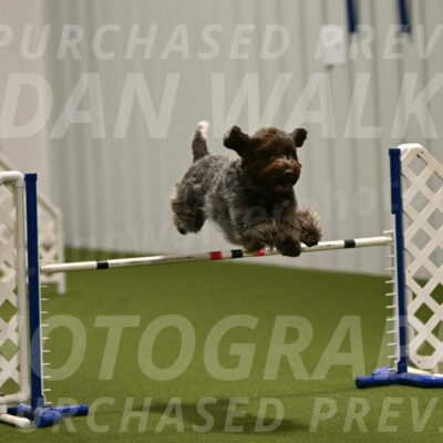 Drake-Janice-Lipscomb-04375