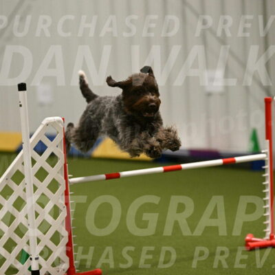 Drake-Janice-Lipscomb-04376