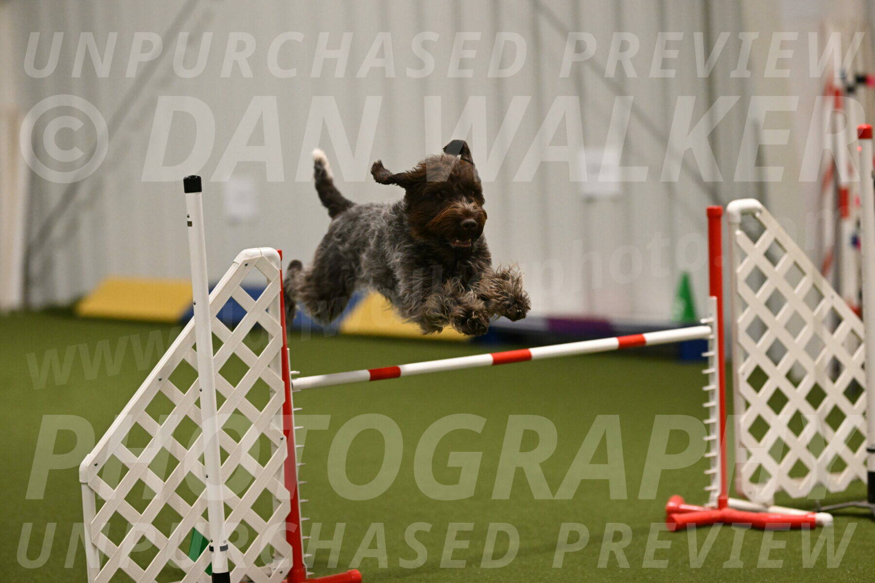 Drake-Janice-Lipscomb-04376