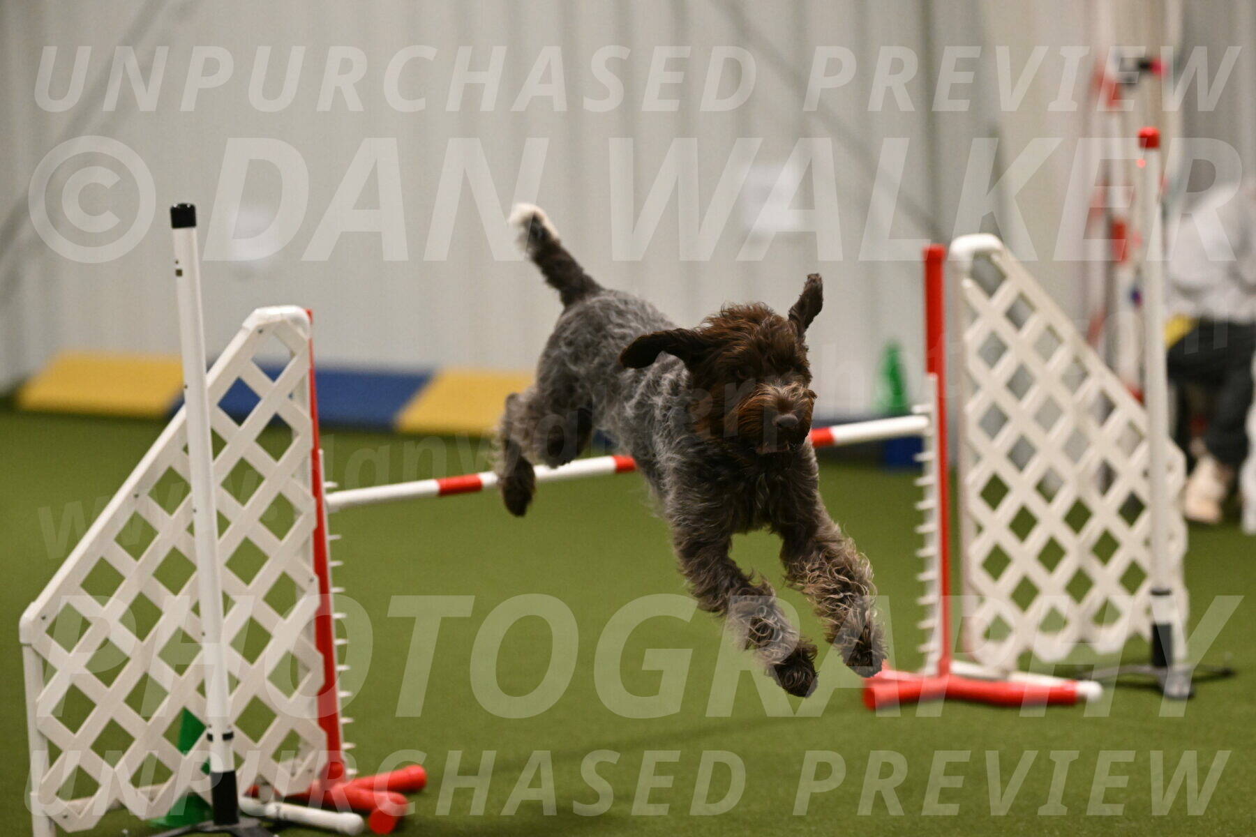 Drake-Janice-Lipscomb-04377