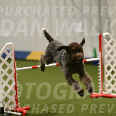 Drake-Janice-Lipscomb-04377