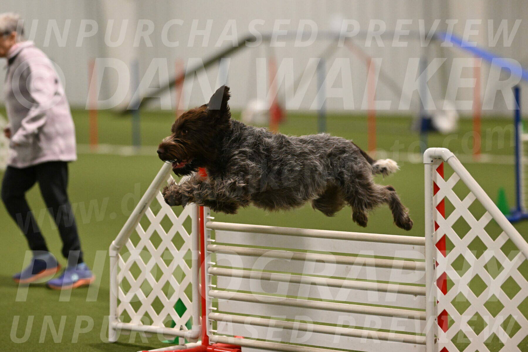 Drake-Janice-Lipscomb-04378