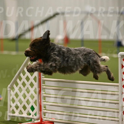 Drake-Janice-Lipscomb-04378