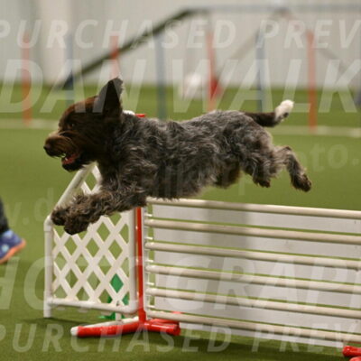 Drake-Janice-Lipscomb-04379