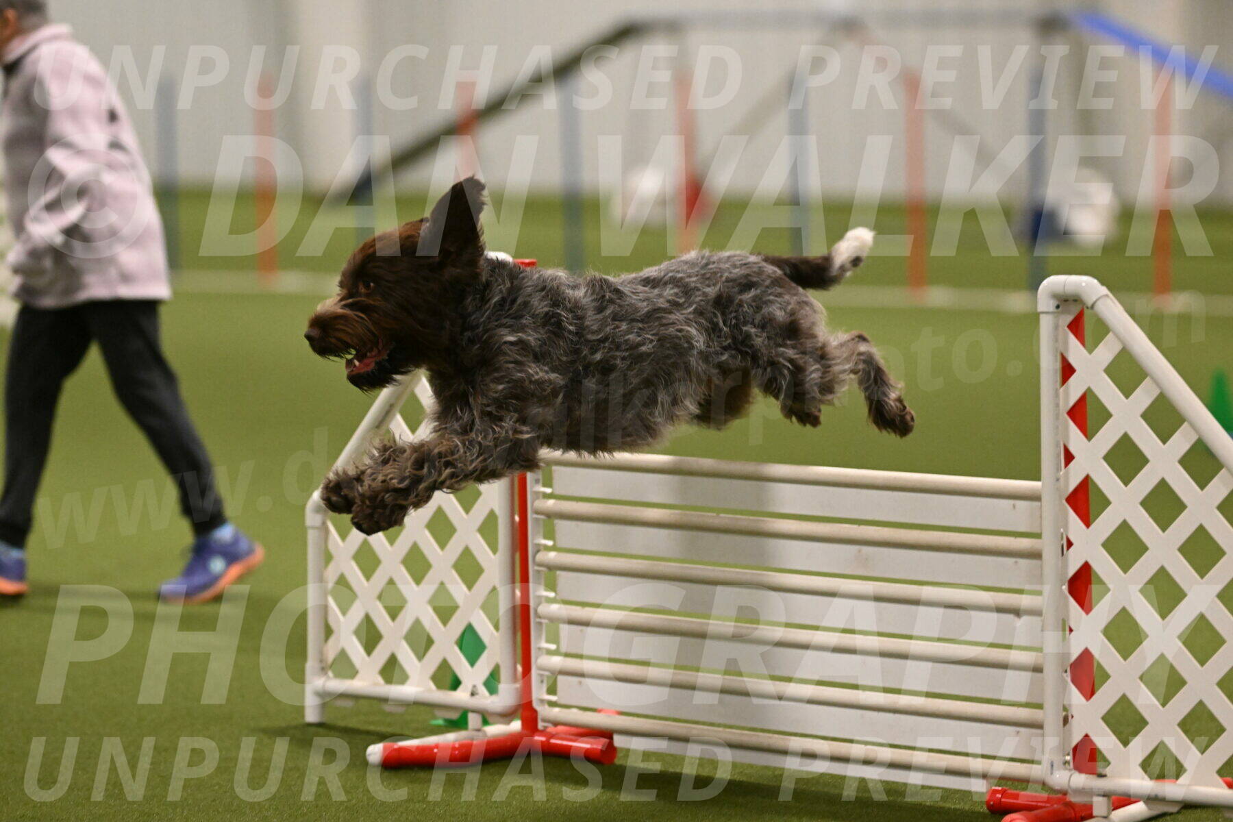 Drake-Janice-Lipscomb-04379