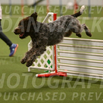 Drake-Janice-Lipscomb-04380