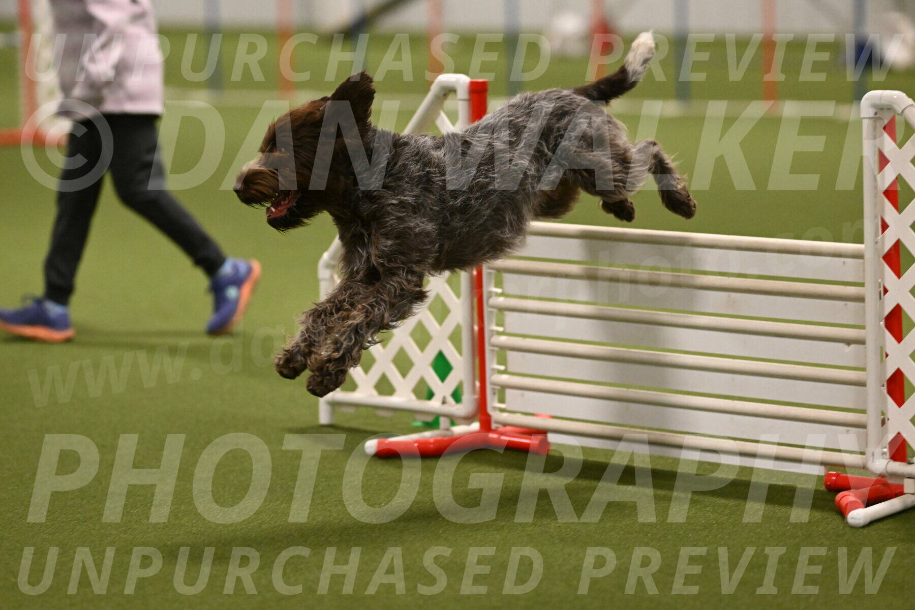 Drake-Janice-Lipscomb-04380