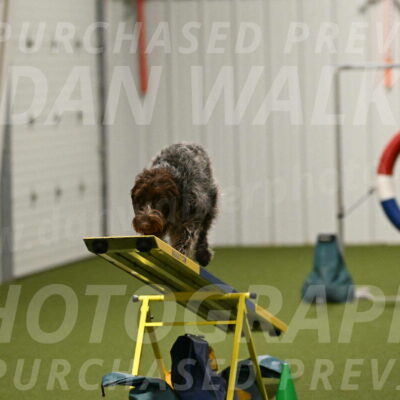 Drake-Janice-Lipscomb-04381