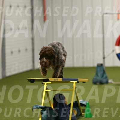 Drake-Janice-Lipscomb-04383