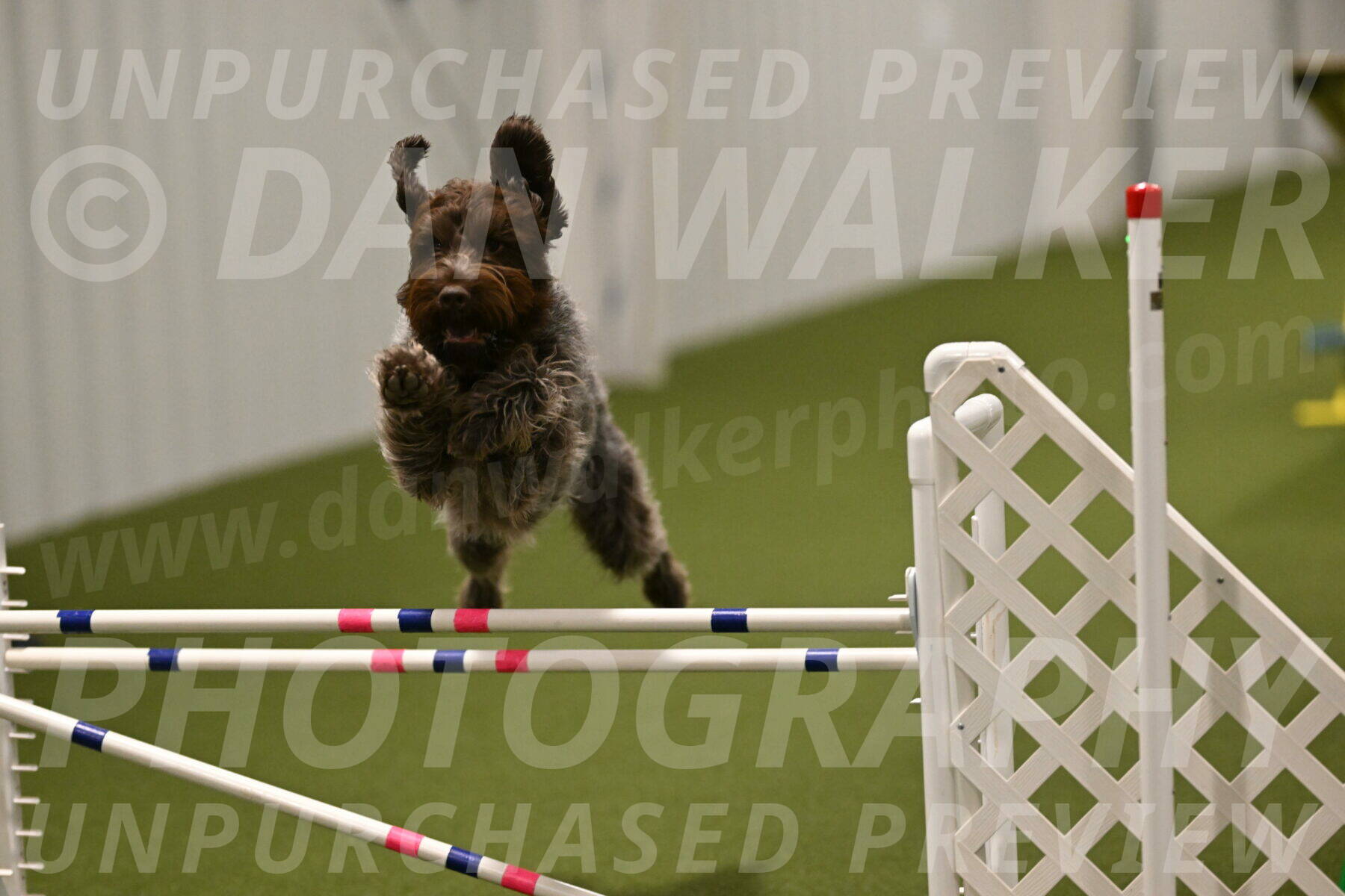 Drake-Janice-Lipscomb-04384