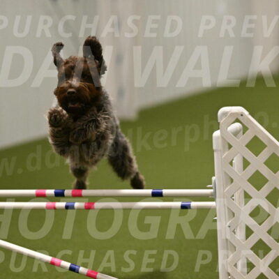 Drake-Janice-Lipscomb-04384