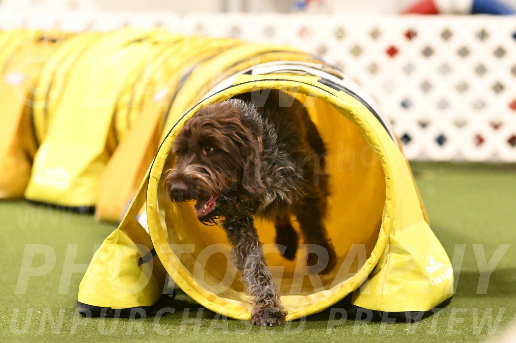 Drake-Janice-Lipscomb-04385