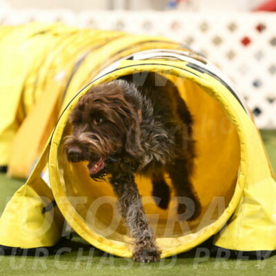 Drake-Janice-Lipscomb-04385