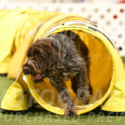 Drake-Janice-Lipscomb-04386