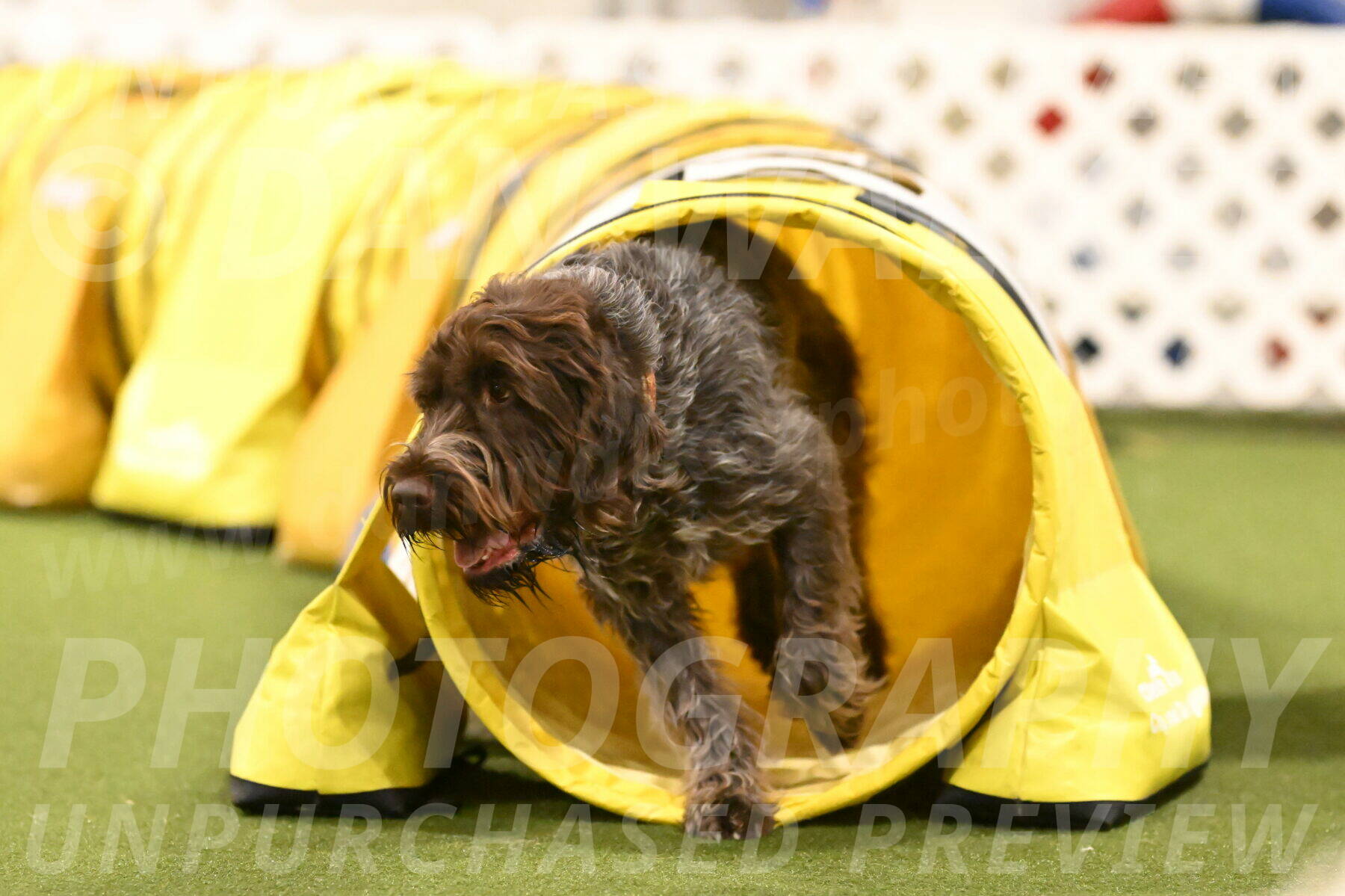 Drake-Janice-Lipscomb-04386