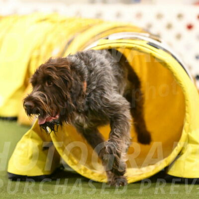 Drake-Janice-Lipscomb-04387