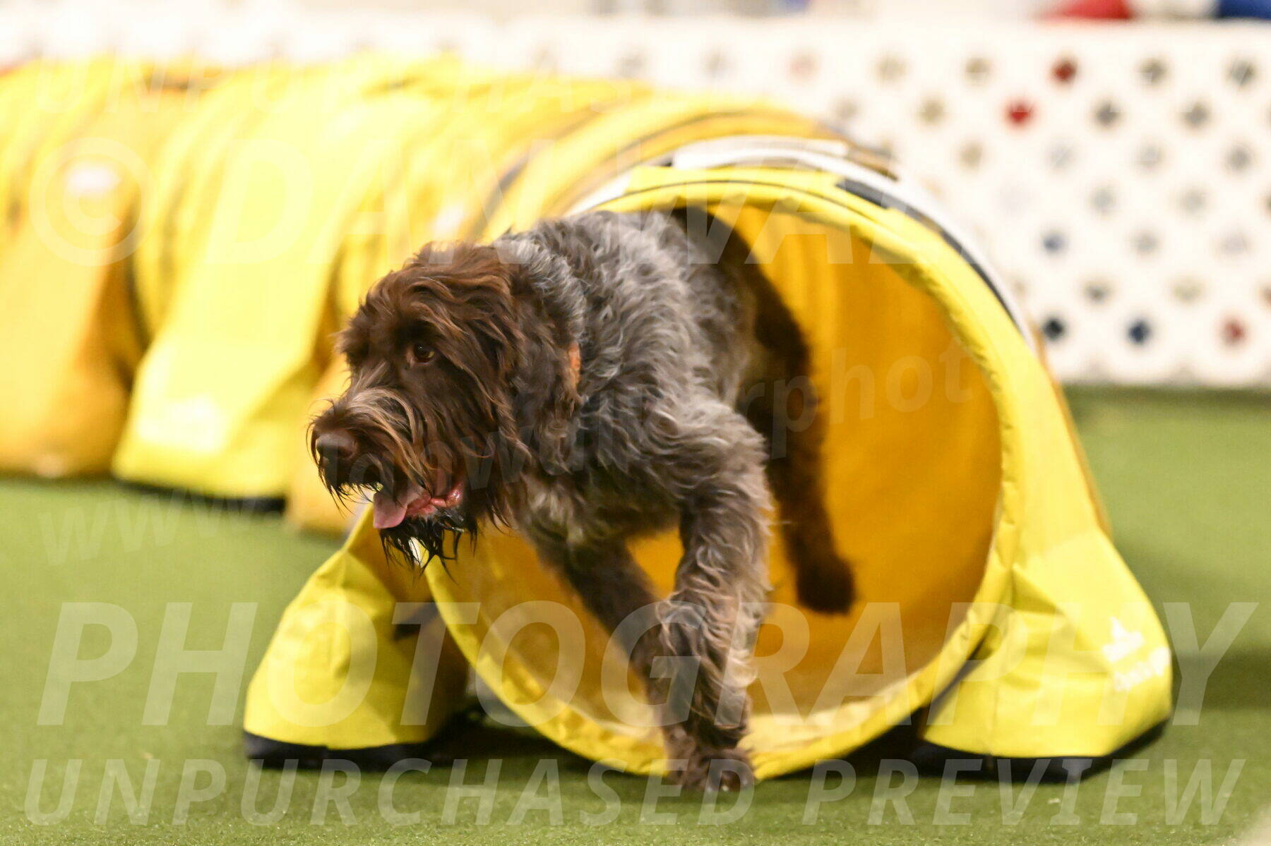 Drake-Janice-Lipscomb-04387