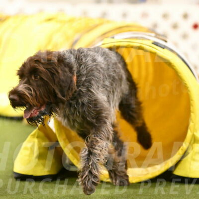 Drake-Janice-Lipscomb-04388