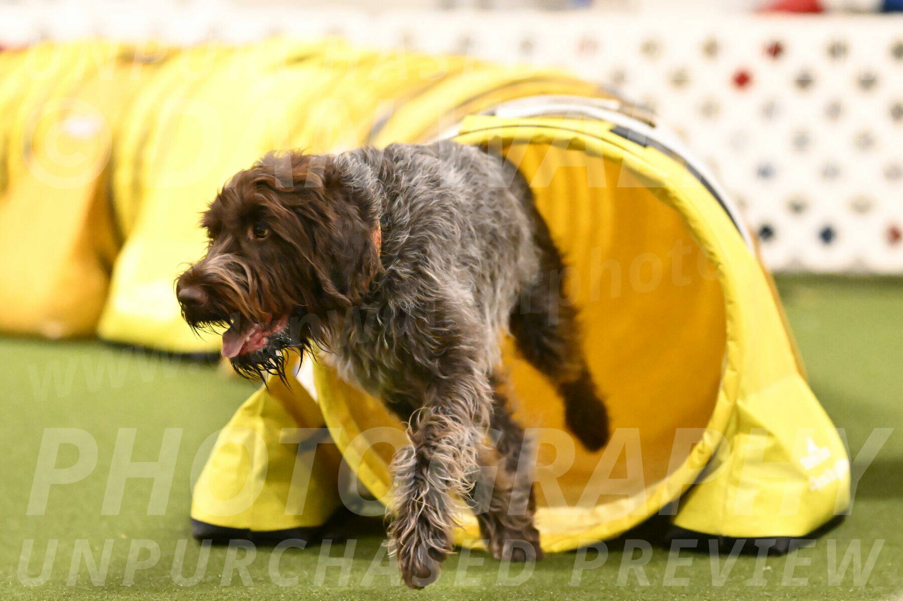 Drake-Janice-Lipscomb-04388