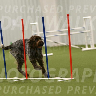 Drake-Janice-Lipscomb-04389