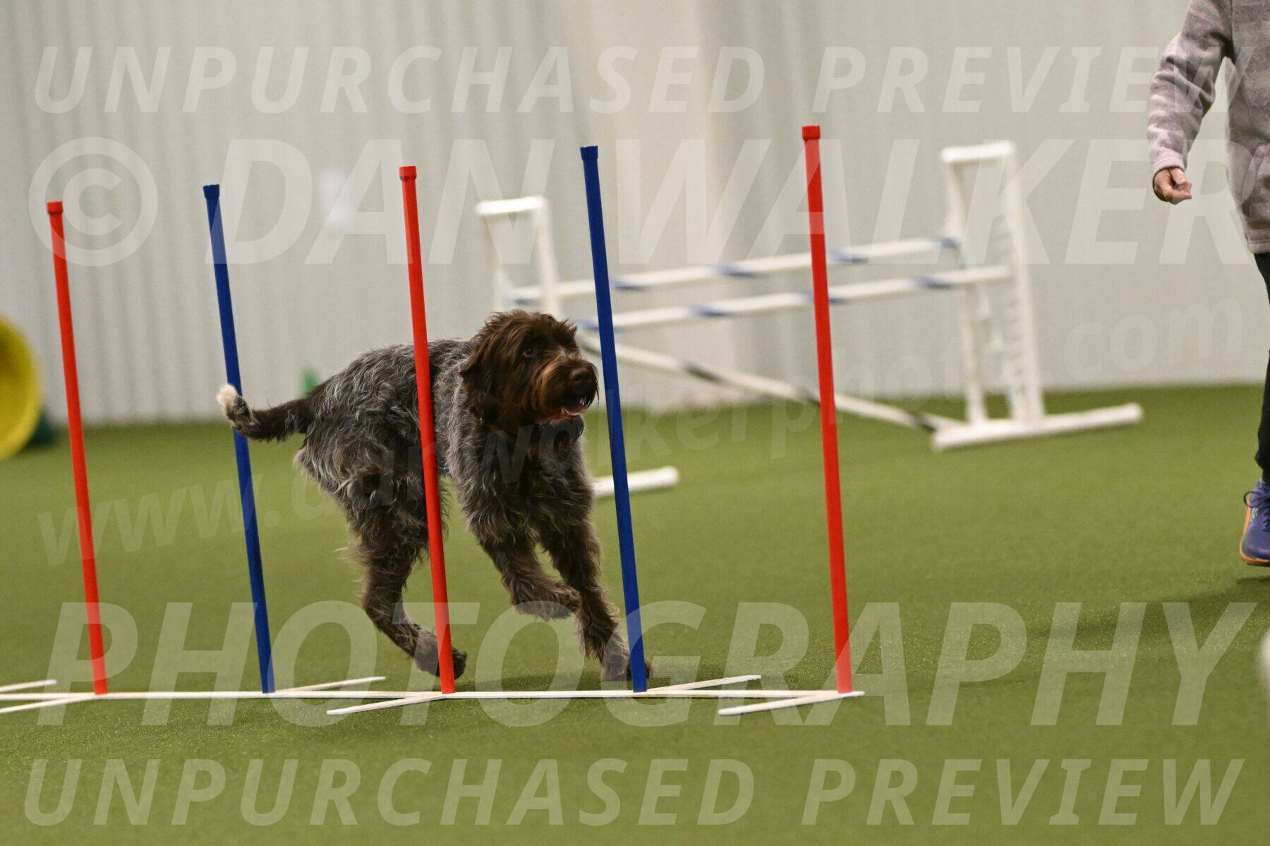 Drake-Janice-Lipscomb-04389