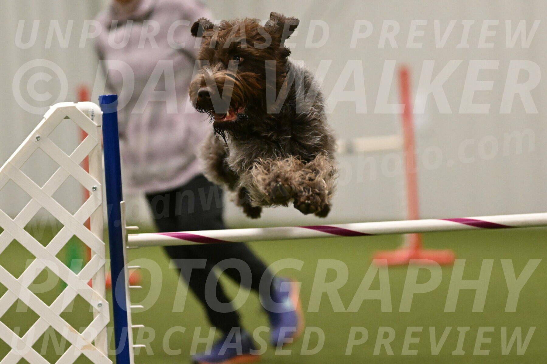 Drake-Janice-Lipscomb-04390