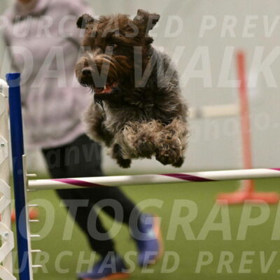 Drake-Janice-Lipscomb-04390