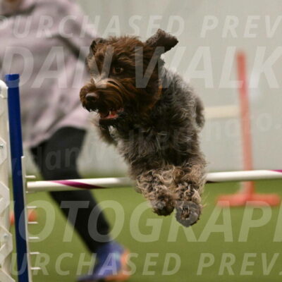 Drake-Janice-Lipscomb-04391