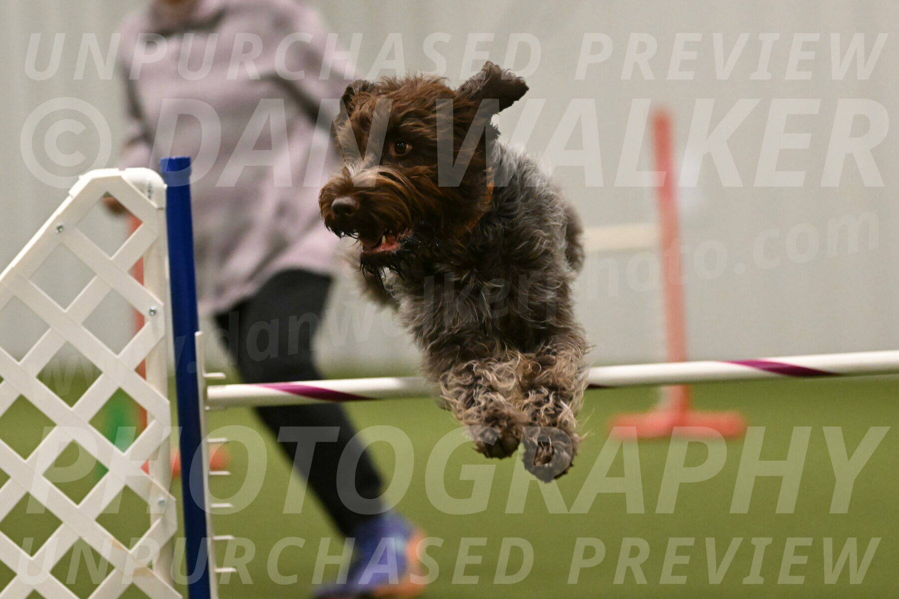 Drake-Janice-Lipscomb-04391