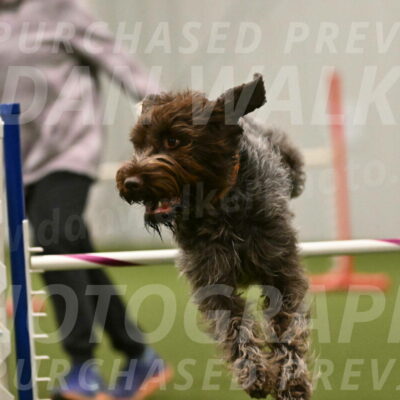 Drake-Janice-Lipscomb-04392