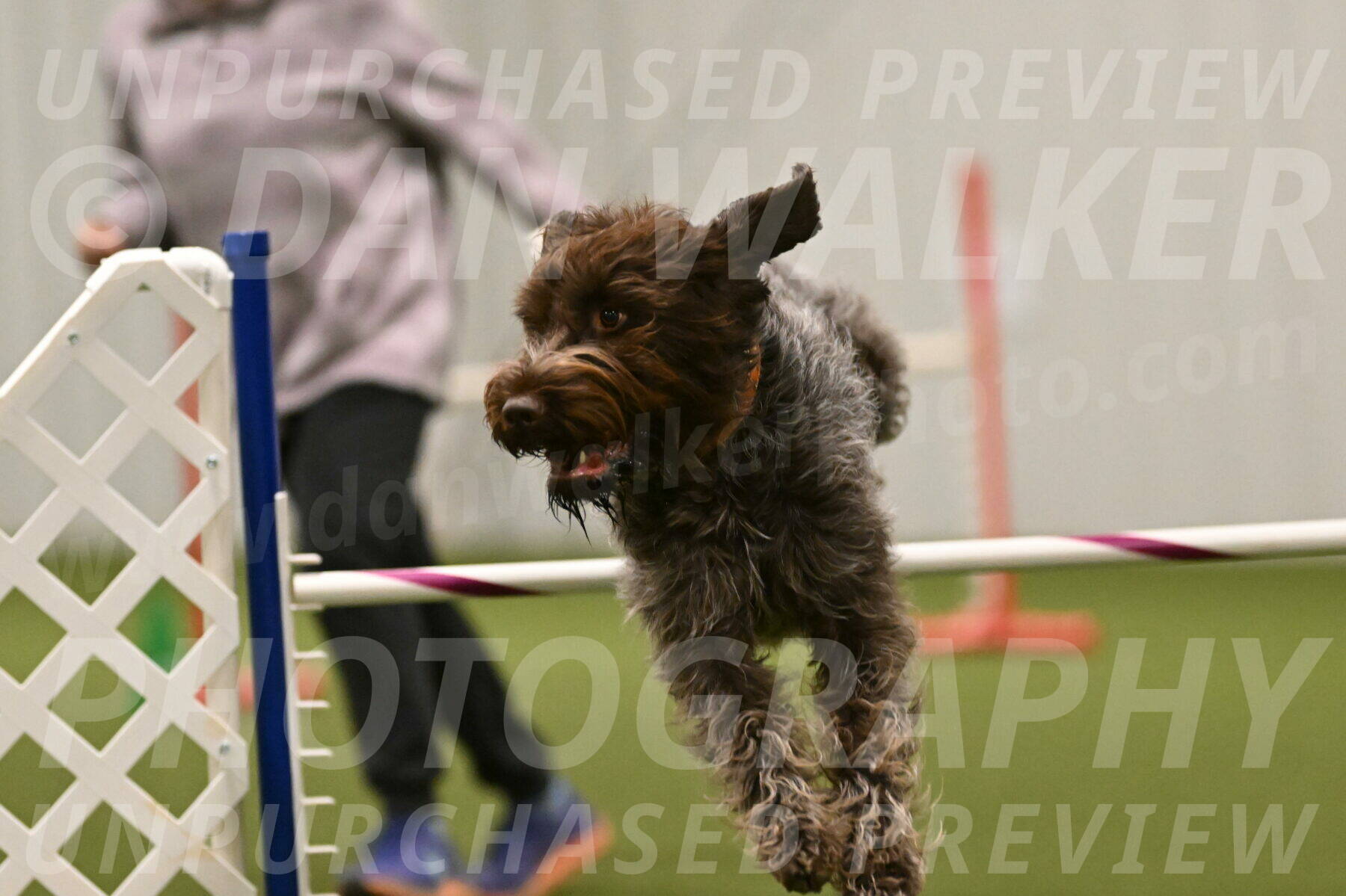 Drake-Janice-Lipscomb-04392