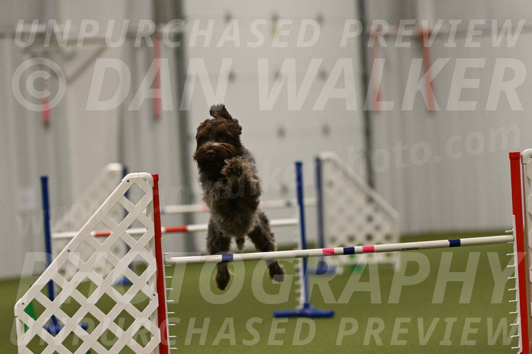 Drake-Janice-Lipscomb-04393