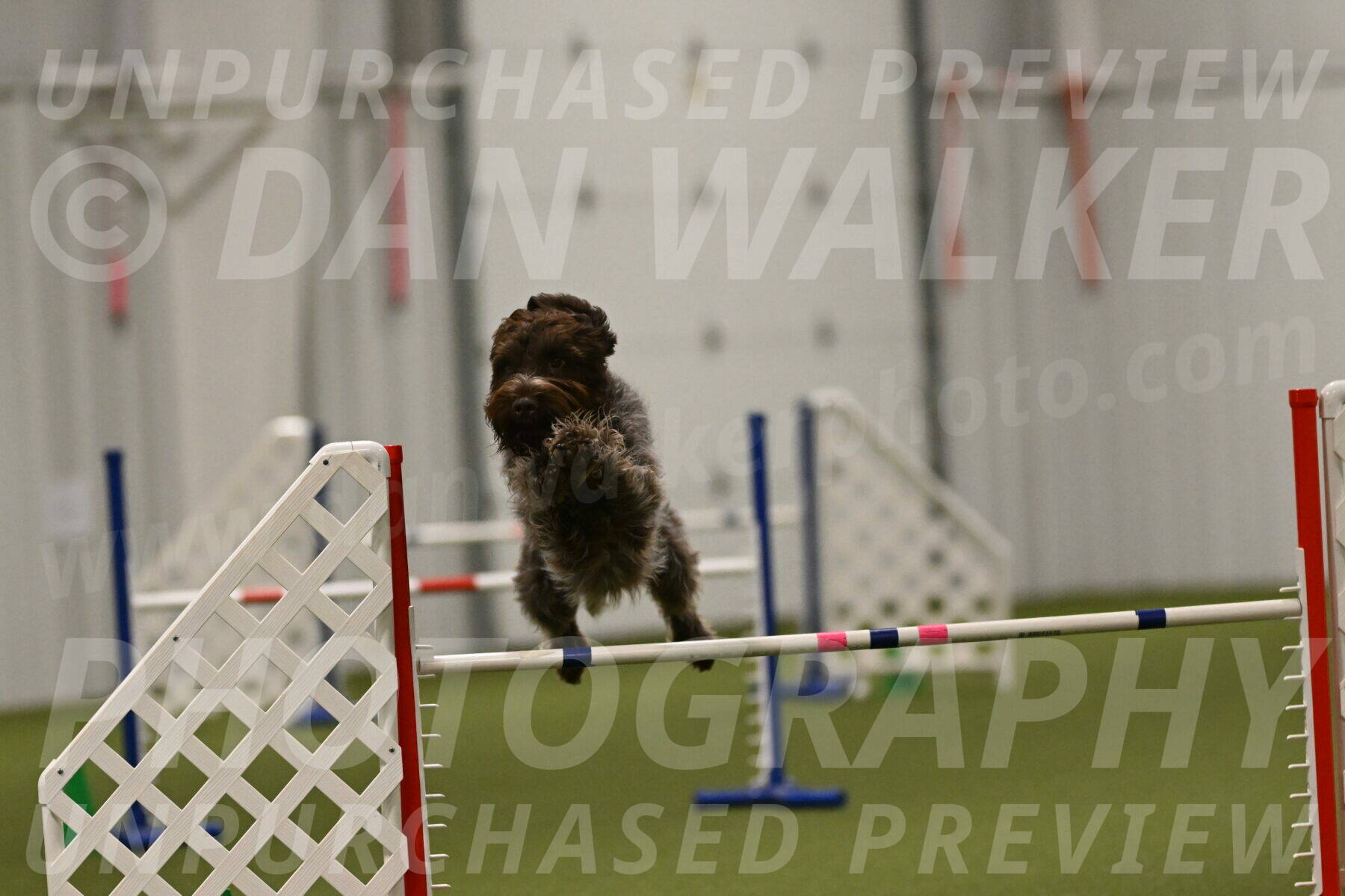 Drake-Janice-Lipscomb-04394