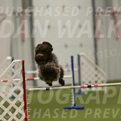 Drake-Janice-Lipscomb-04395