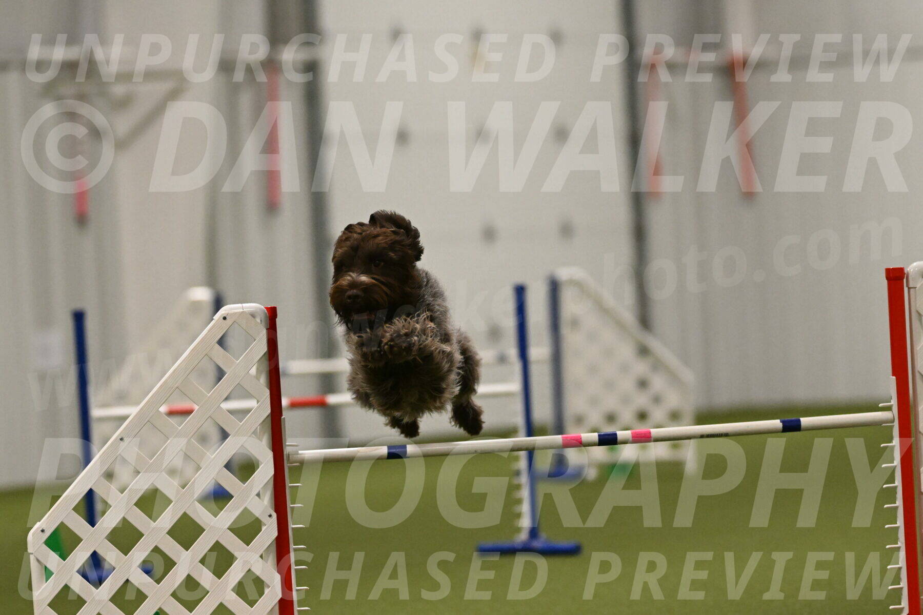 Drake-Janice-Lipscomb-04395