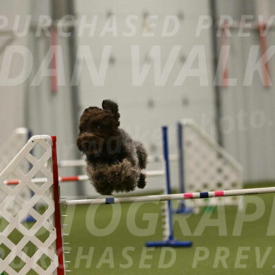 Drake-Janice-Lipscomb-04396