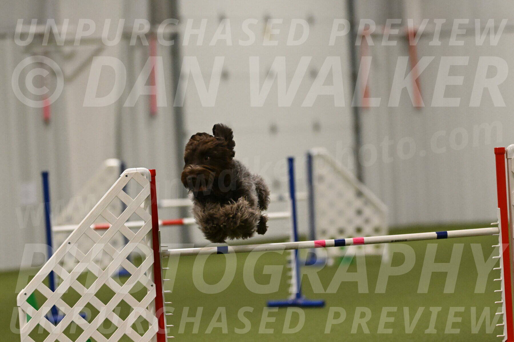 Drake-Janice-Lipscomb-04396