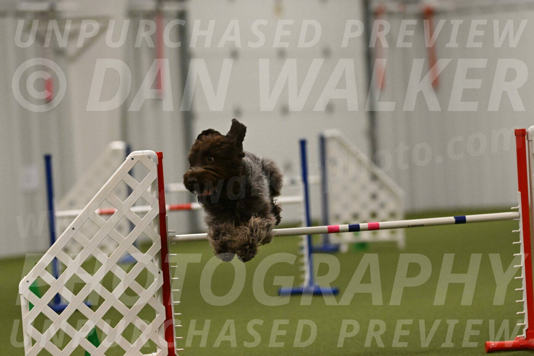 Drake-Janice-Lipscomb-04397