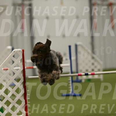 Drake-Janice-Lipscomb-04397