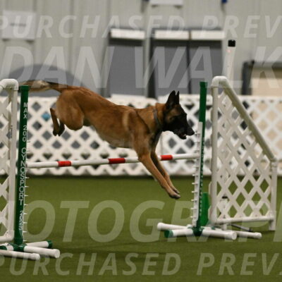 Ellie-Sharon-Muller-07074