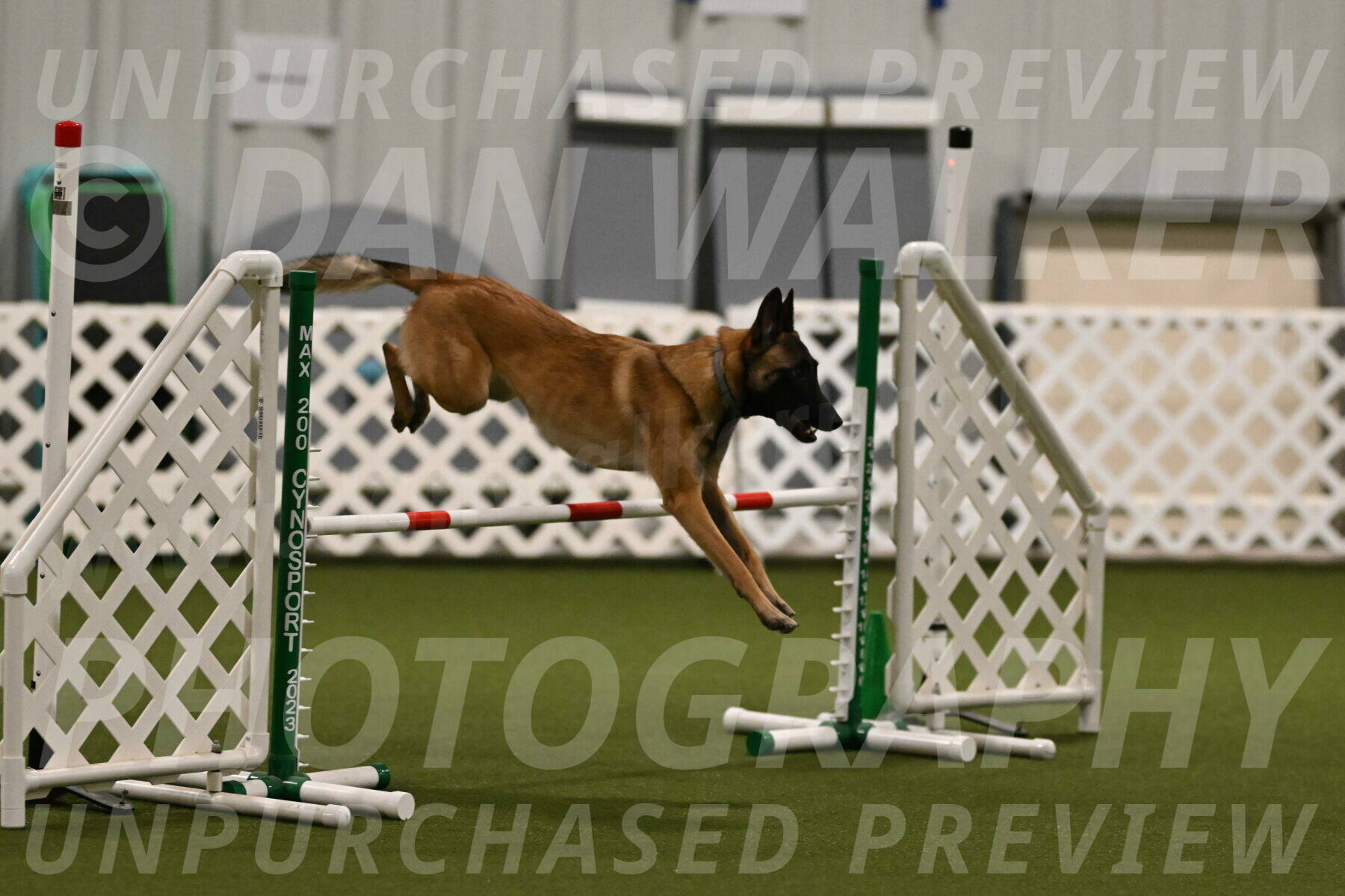 Ellie-Sharon-Muller-07074